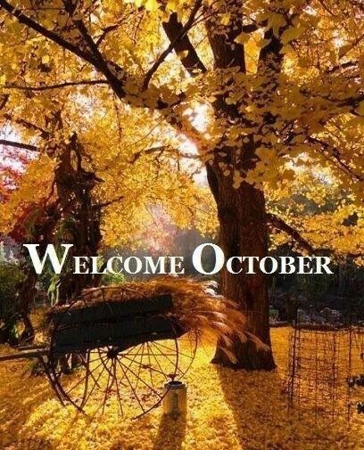 October activities and events
